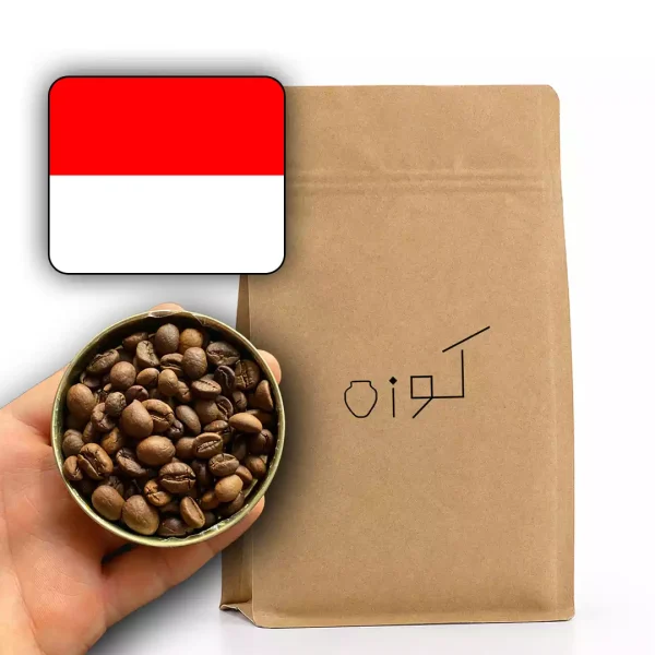روبوستا اندونزی AP1