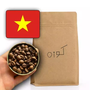روبوستا ویتنام